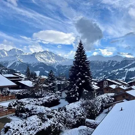 Appartement Verbier *